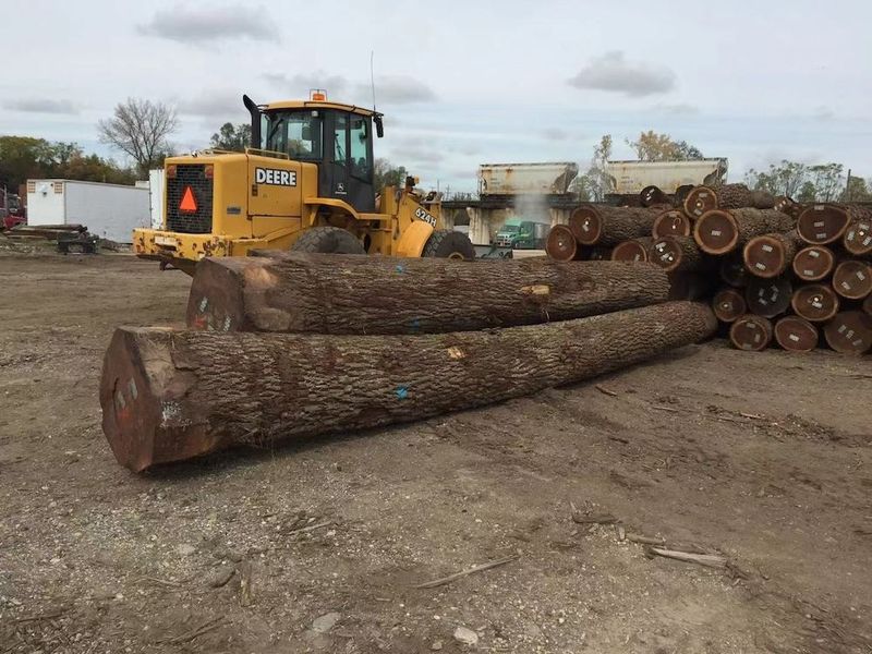 Chine Dongguan Yinghui Wood Industry Co., Ltd. Profil de la société