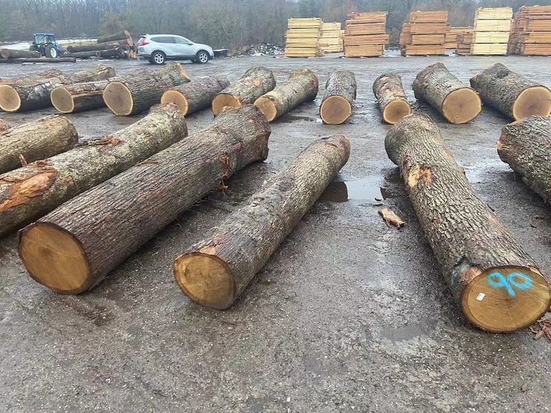 Chine Dongguan Yinghui Wood Industry Co., Ltd. Profil de la société