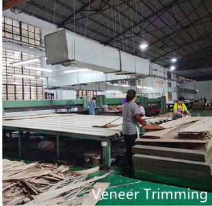 Dongguan Yinghui Wood Industry Co., Ltd. ligne de production du fabricant
